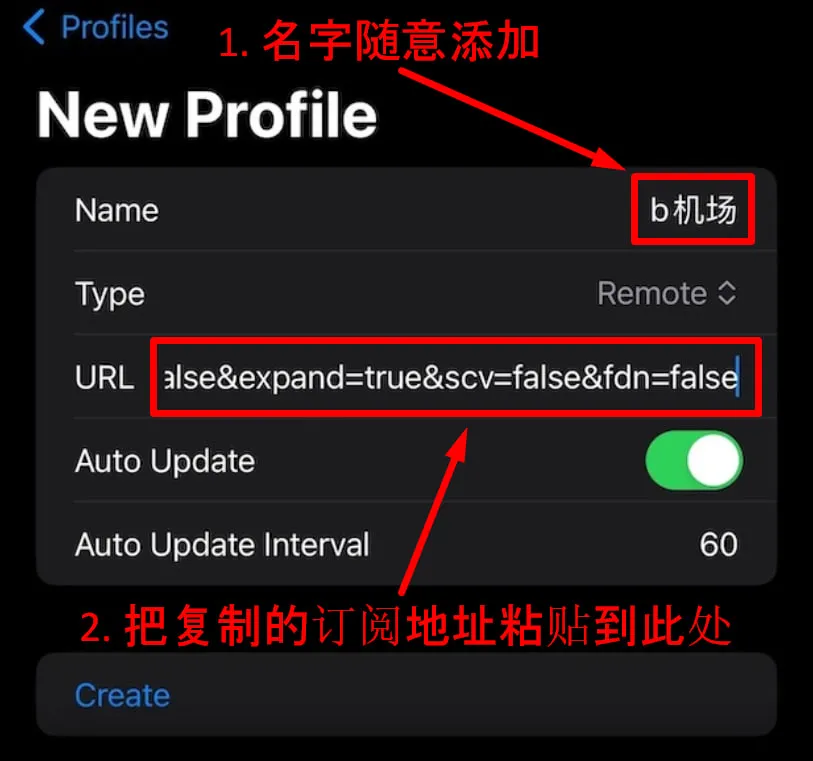 New Profile 页面,Type 选 Remote,URL 粘贴订阅地址