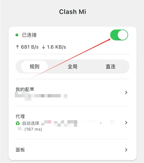 连接成功后开关变绿并显示实时流量